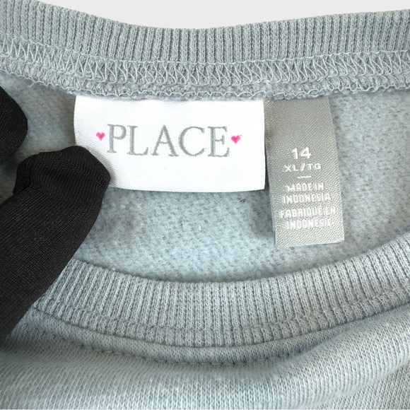 Place Light Blue Sweatshirt - Picture 13 of 15